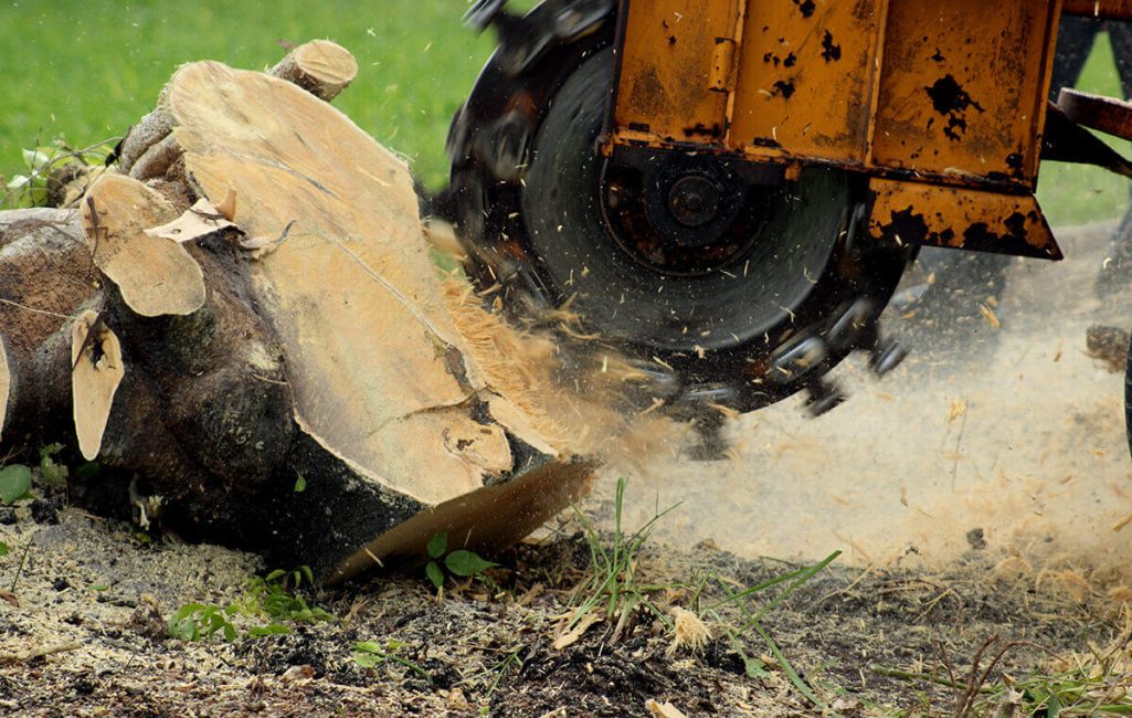 stump-grinding
