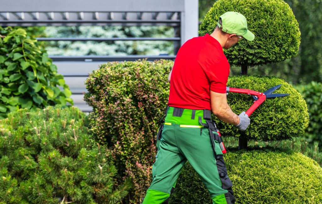 tree-trimmings